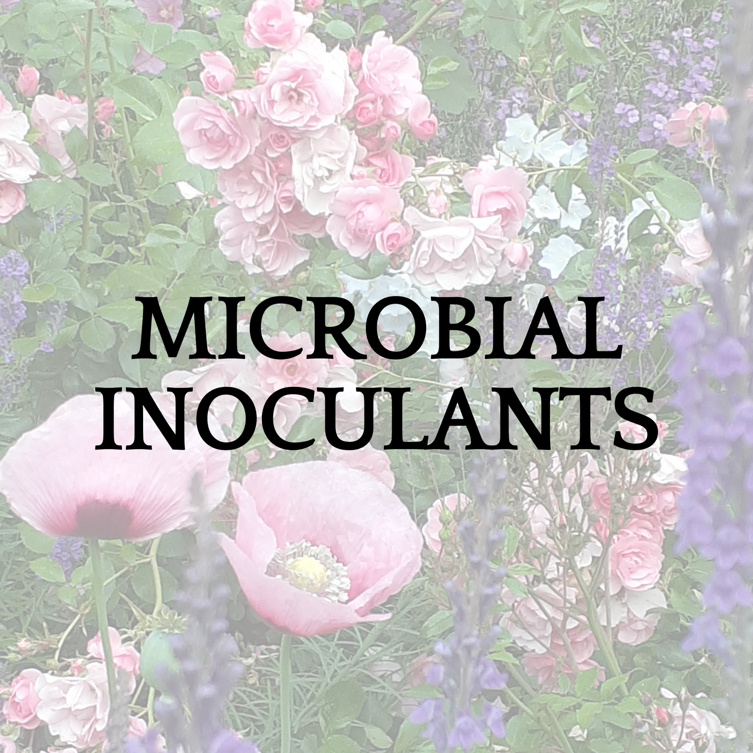 Microbial Inoculants