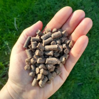 Wool Pellets Fertilizer